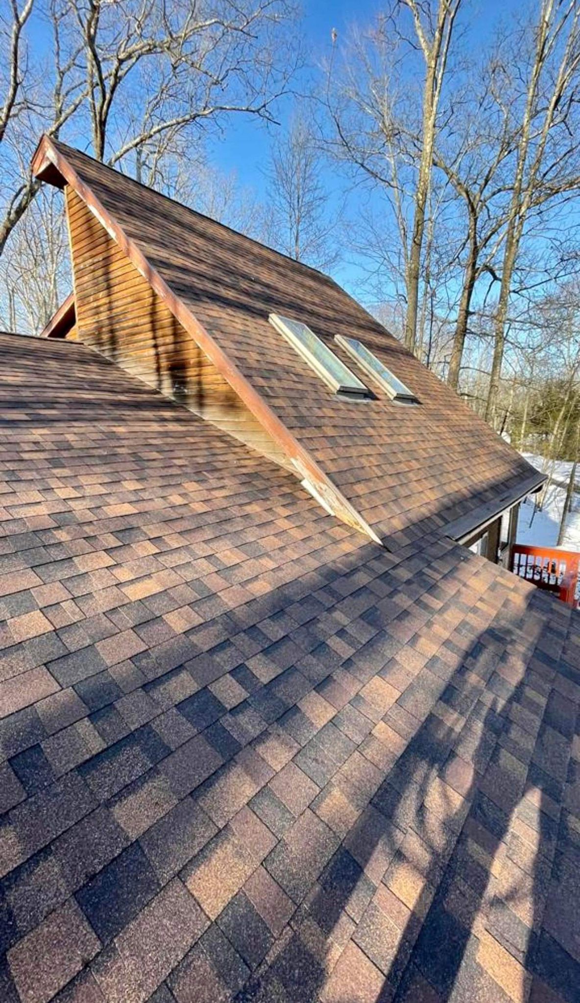 Shingle Roof
