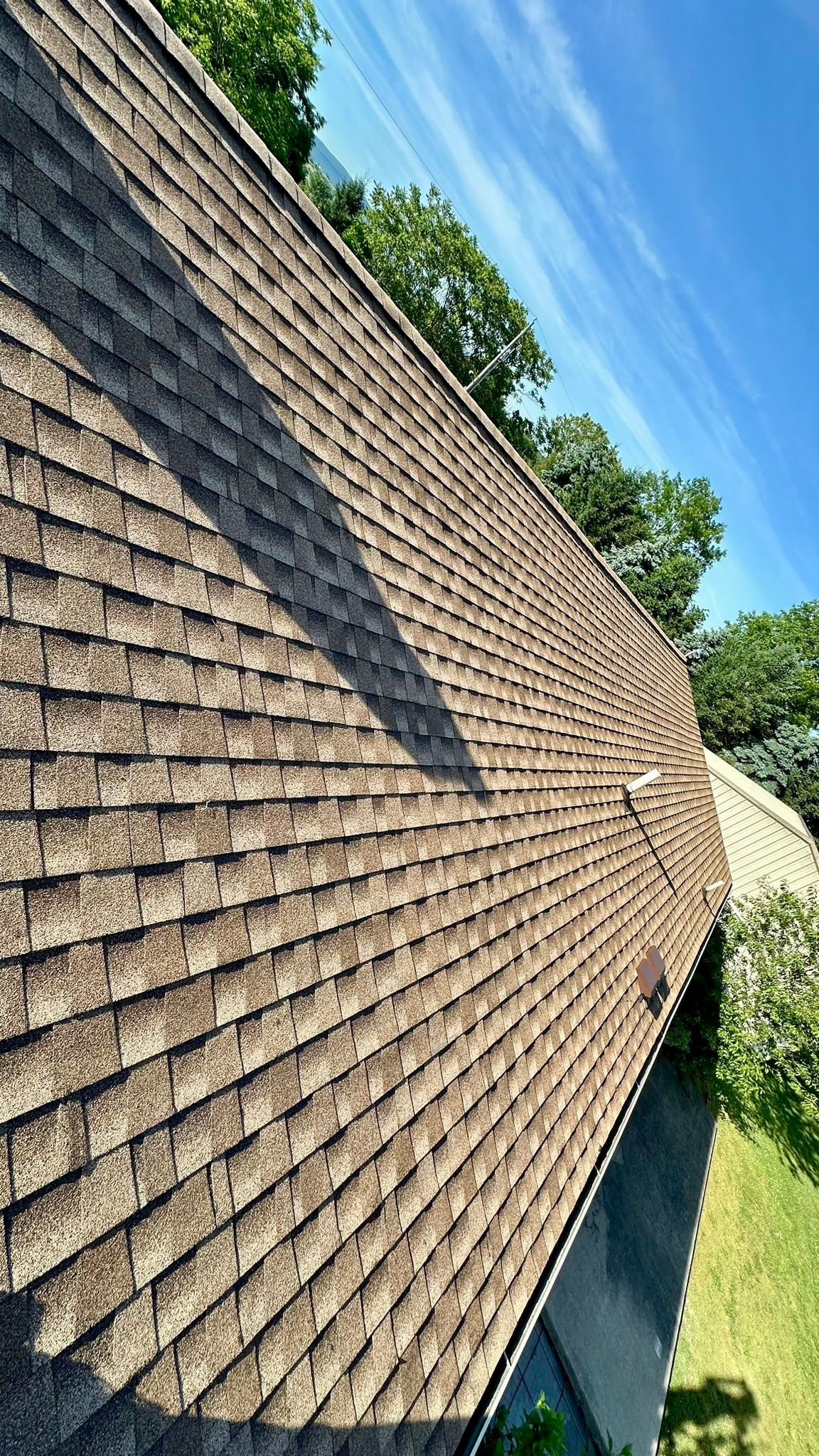 Shingle Roof