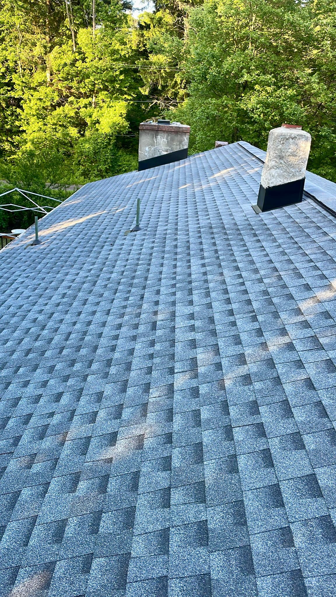 Shingle Roof