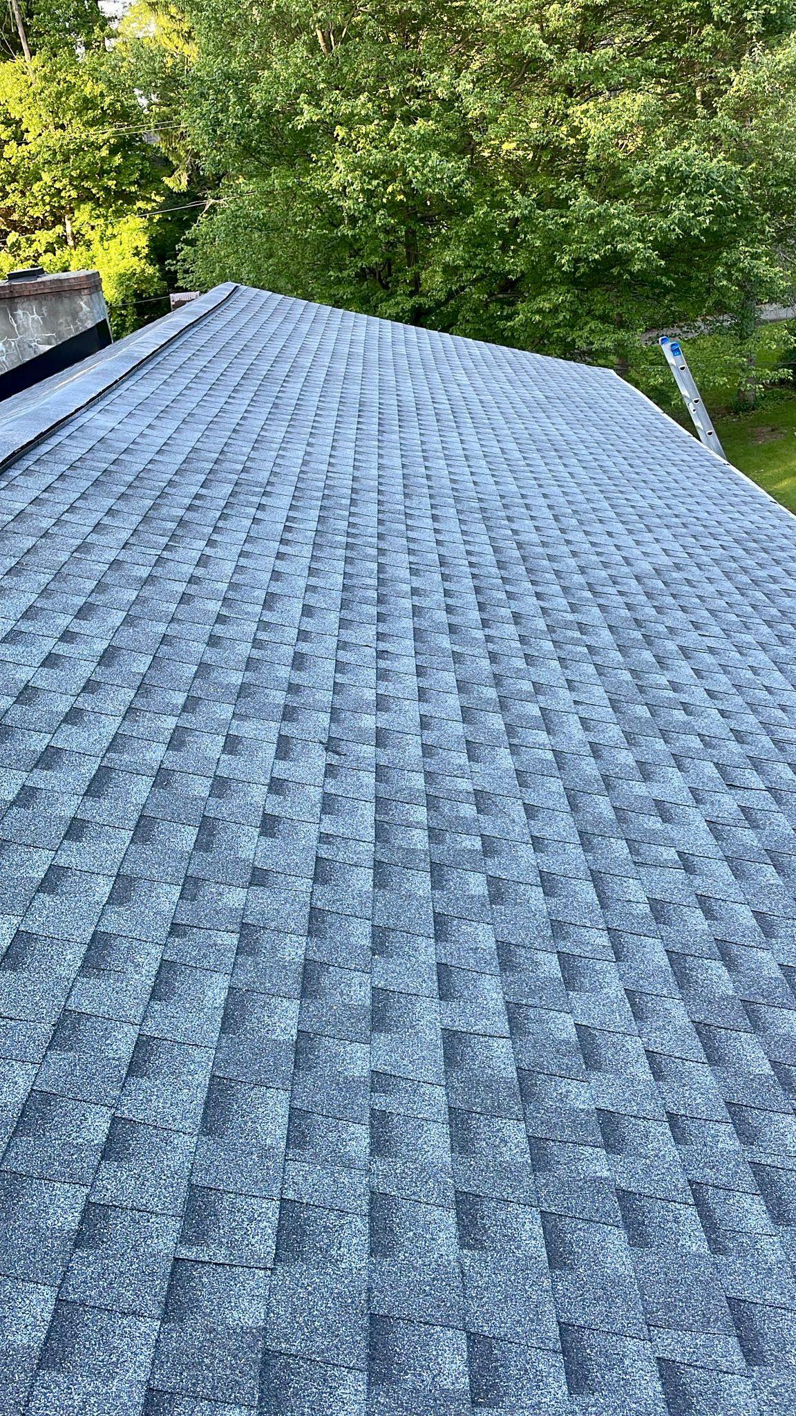 Shingle Roof